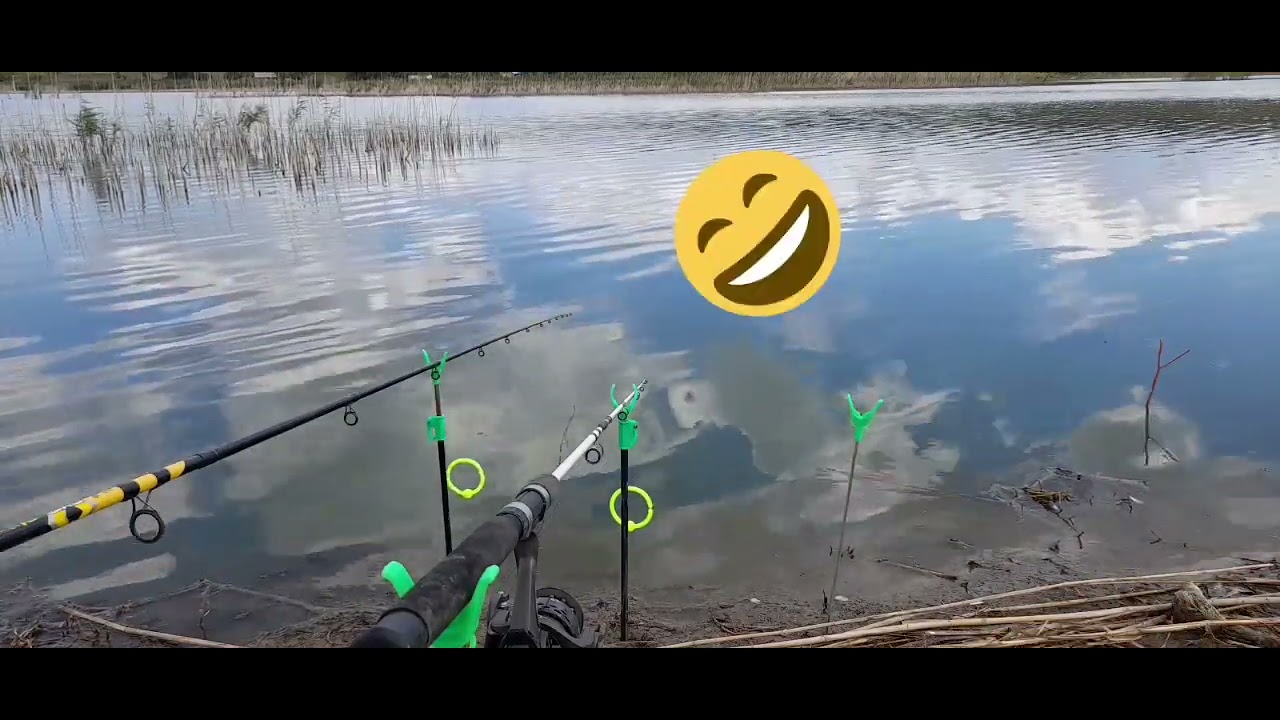 Pescuit la balta Malina,carasii fac spectacol la feeder si lansete!