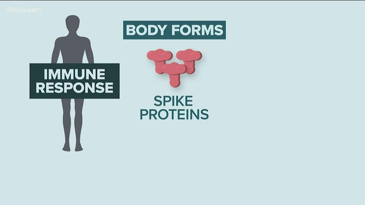 Here is how the Pfizer vaccine works