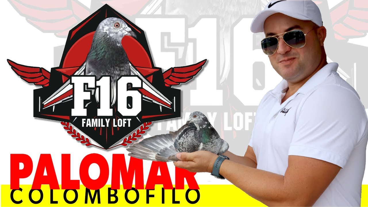 PALOMAR F16  COLOMBOFILIA en LA HABANA