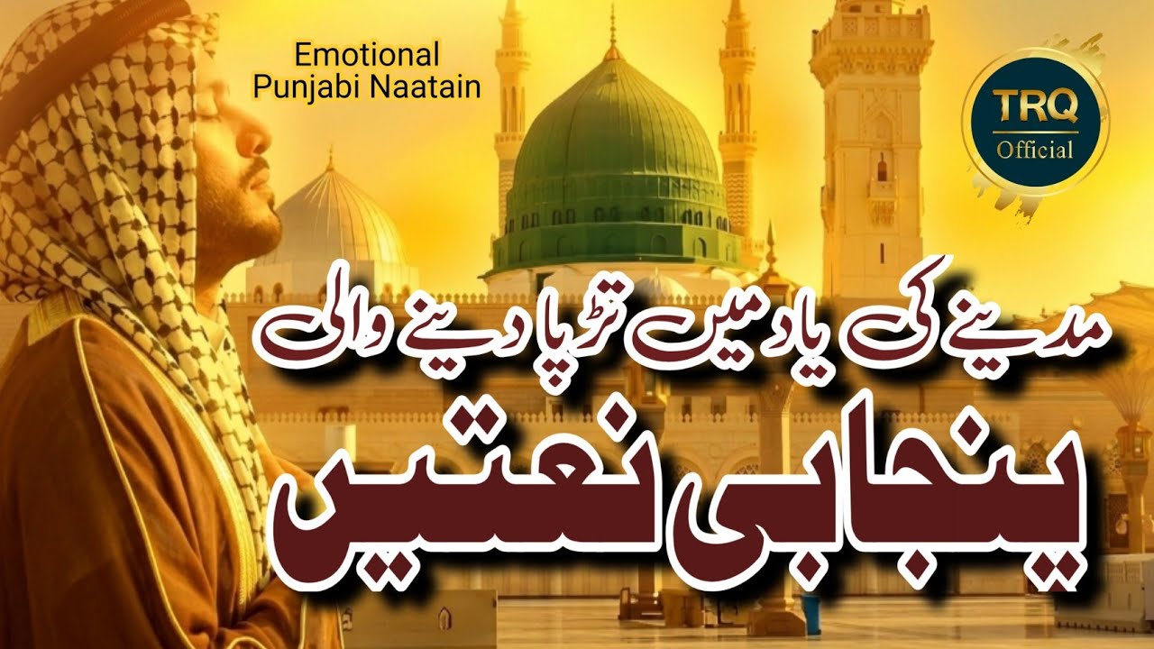 new naat 2026 | درد بھری پنجابی نعتیں | emotional punjabi naat guldasta | by tahir raza qadri fsd