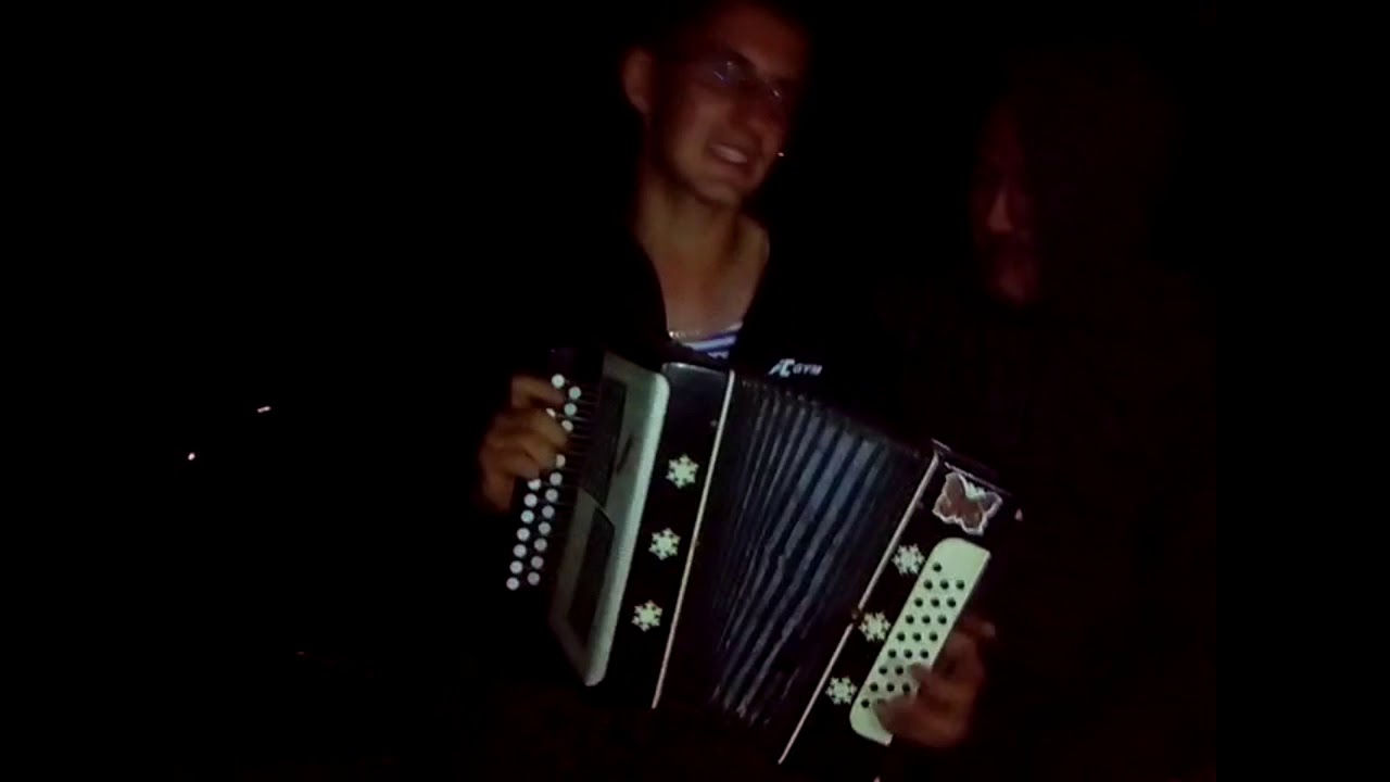 Розовый вечер на гармони (cover)