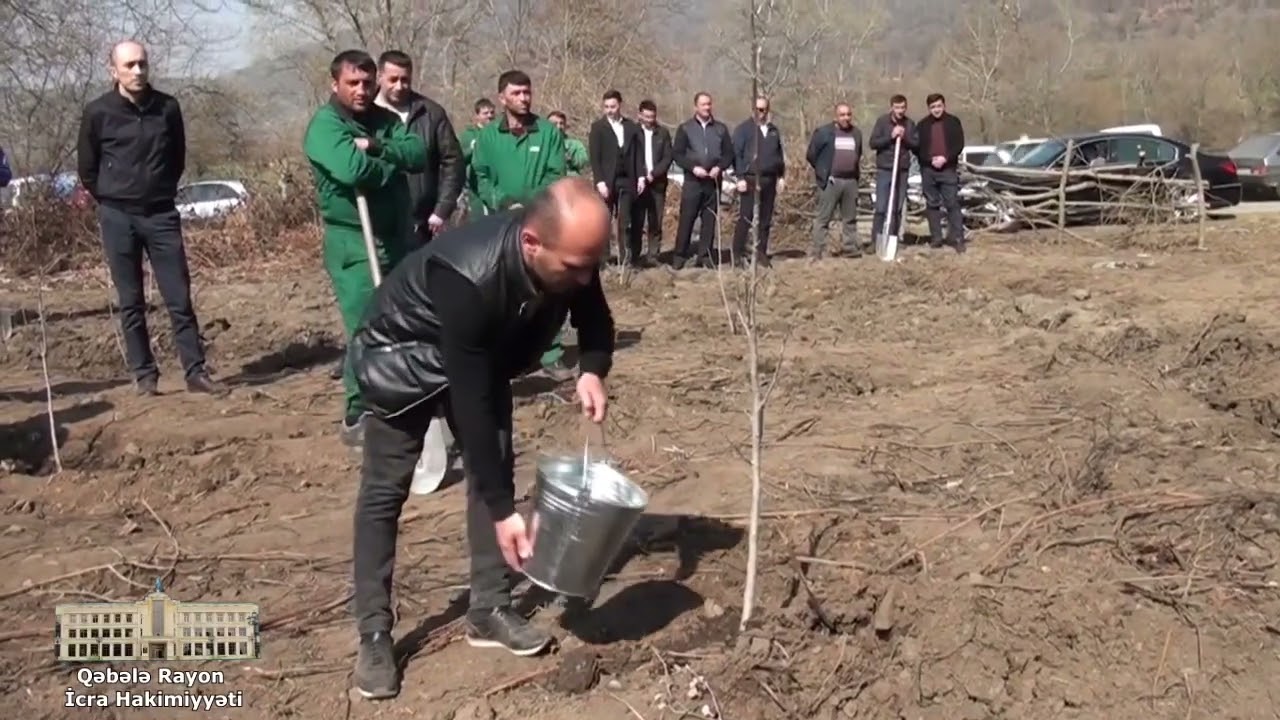 2024 Qəbələ  Yaşıl Dünya Naminə Həmrəylik ili ərəfəsində