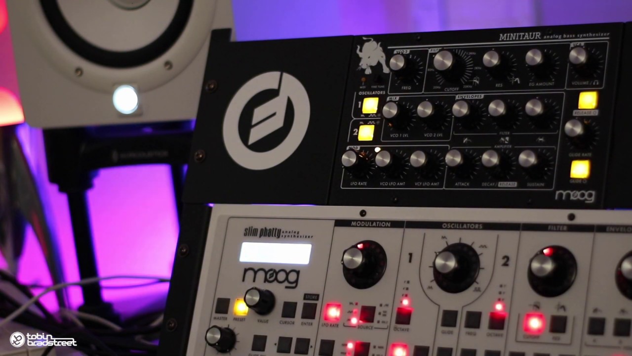 Moog Slim Phatty - Moog Minitaur Rolling Techno Basses Jam (Take Two) with audio (No Talk)