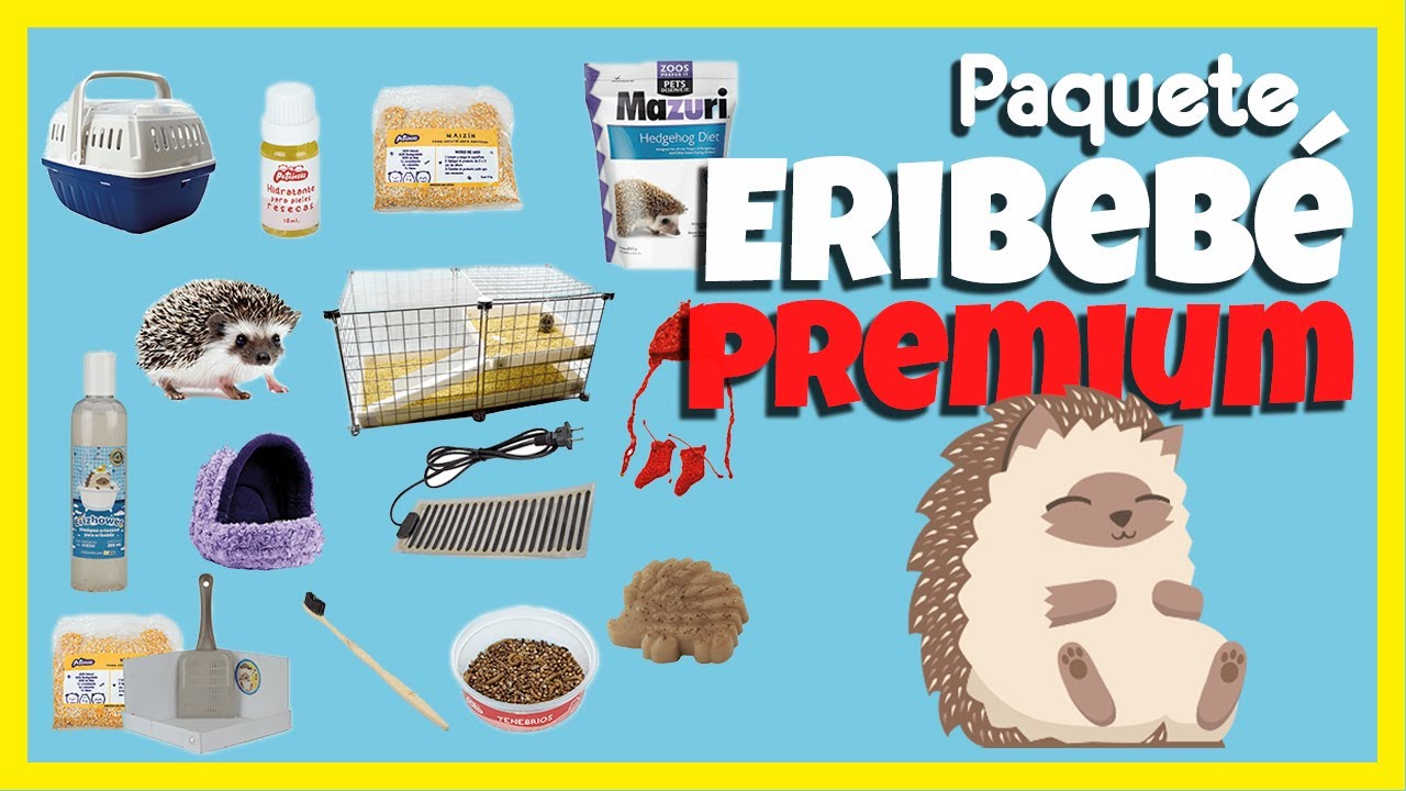 ¿Qué incluye el PAQUETE ERIBEBE PREMIUM? | Unboxing | Erizoo México | Venta de Erizos  en México