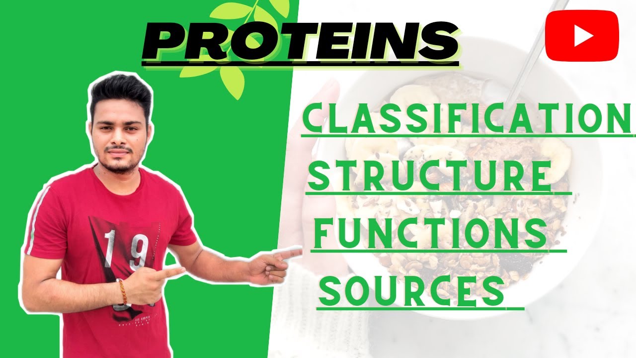 Protein structure and function in hindi | Protein classification,structure and function.