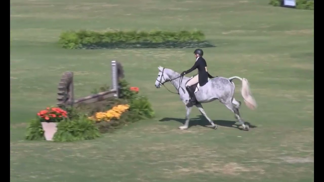 Cadello, first USHJA National Derby, WEF 7, 2.20.26 @ Global