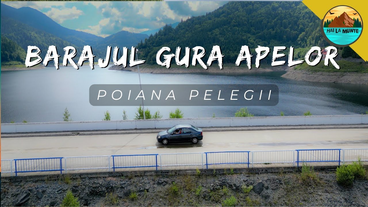 Drumul forestier Poiana Pelegii - 18km de mers incet si incetisor - iulie 2023