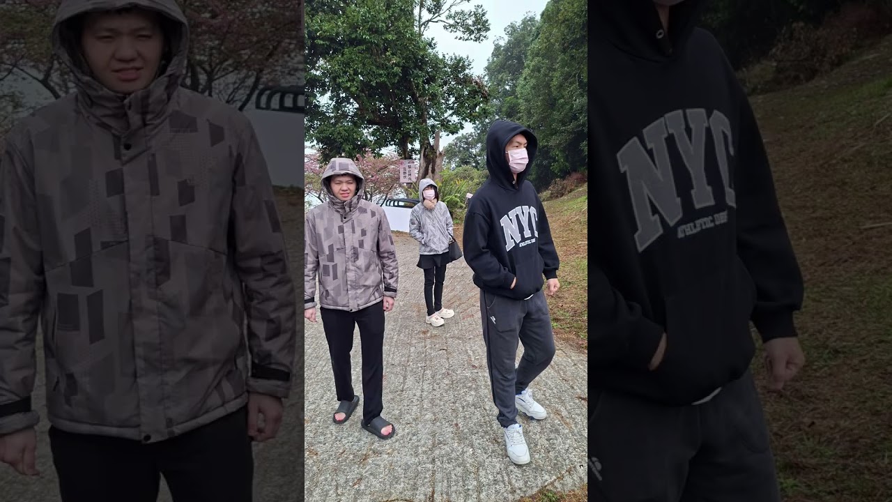 〔(CUSTIN白B老爹欣旅🧔)➡️(桃源櫻花季🌸)(寶山二集團櫻花公園)➡️(茂林國家風景區)(茂林入口意象公園)(紫蝶幽谷🦋)(115/2/9)〕