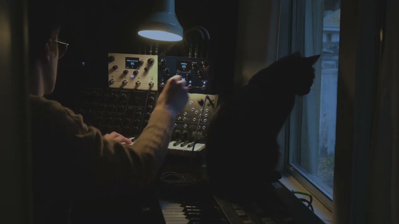 gentle ambient sounds performed live, in the evening.