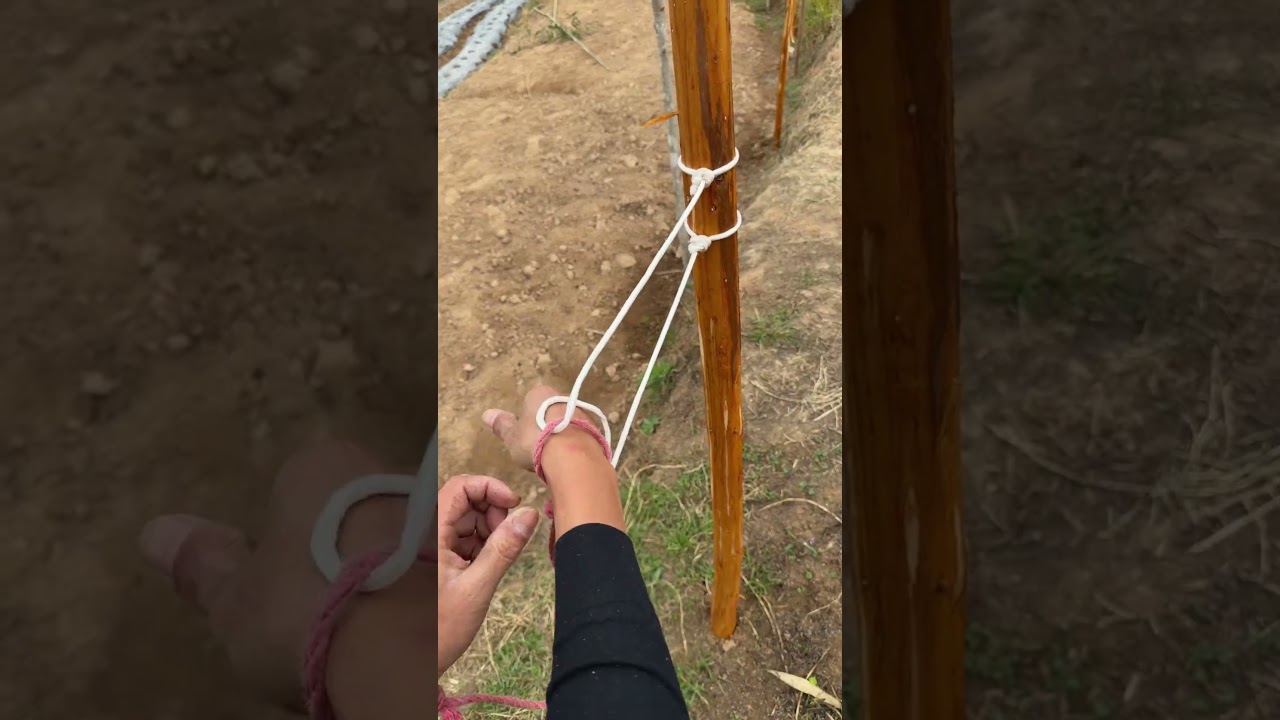 Knot Escaping Tutorial: A Complete Guide from Knots to Freedom