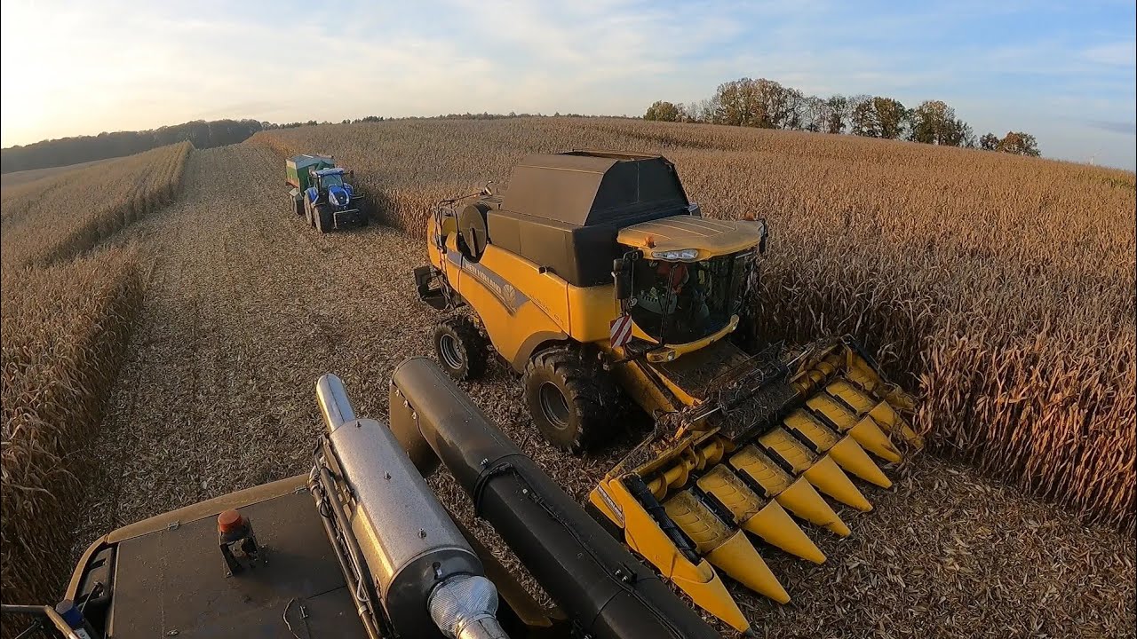 Złote żniwa kukurydziane! New Holland'y w akcji! 🔥