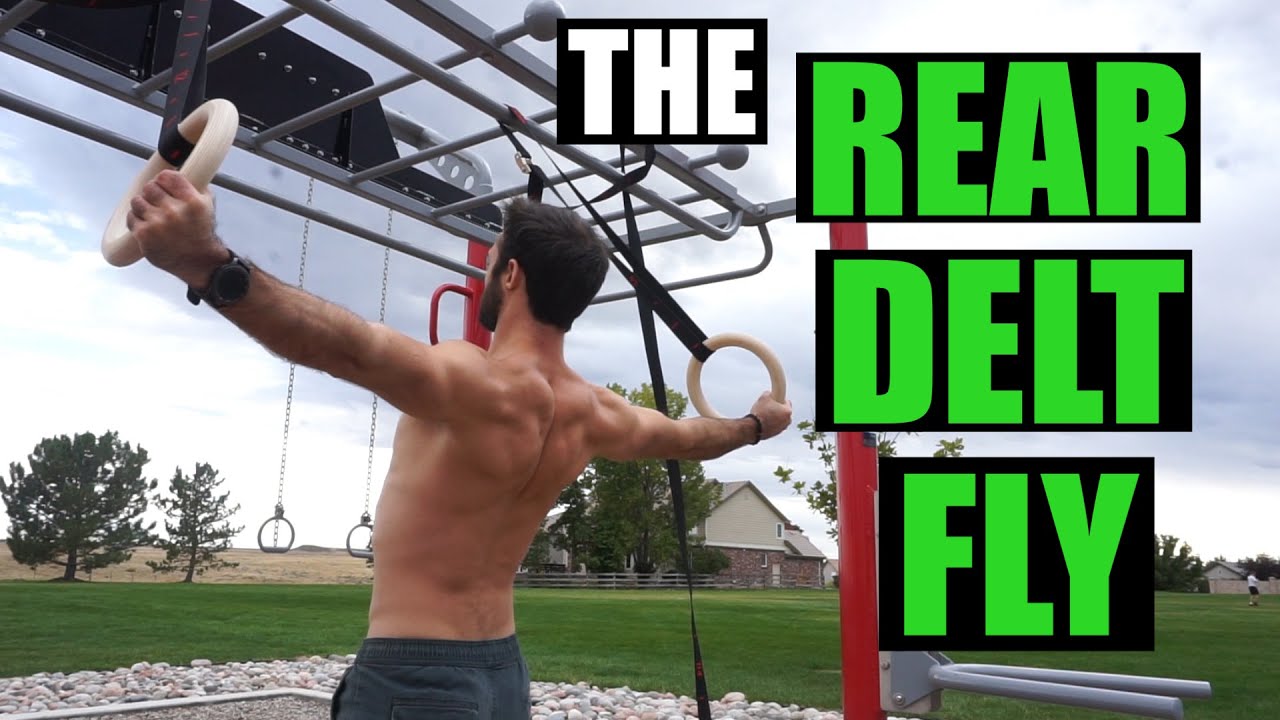 Build DENSE REAR DELTS with Gymnastic Rings | How to Rear Delt Fly