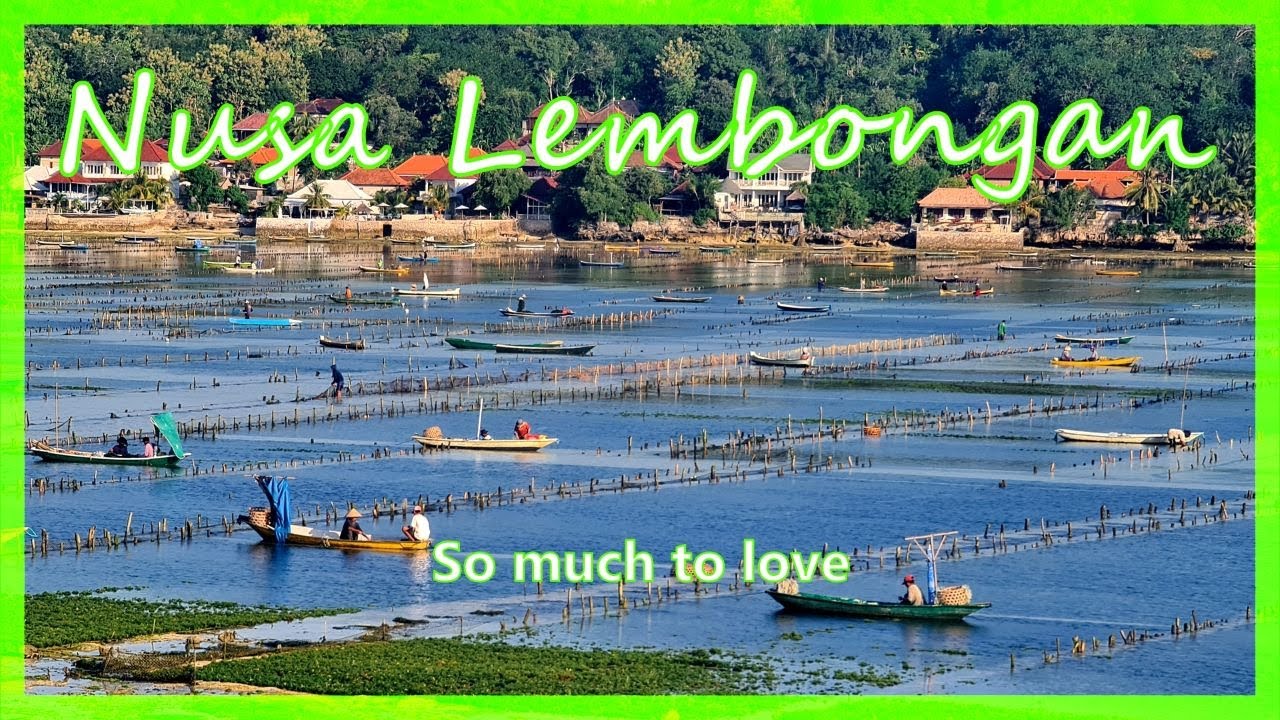 Nusa Lembongan - So much to Love