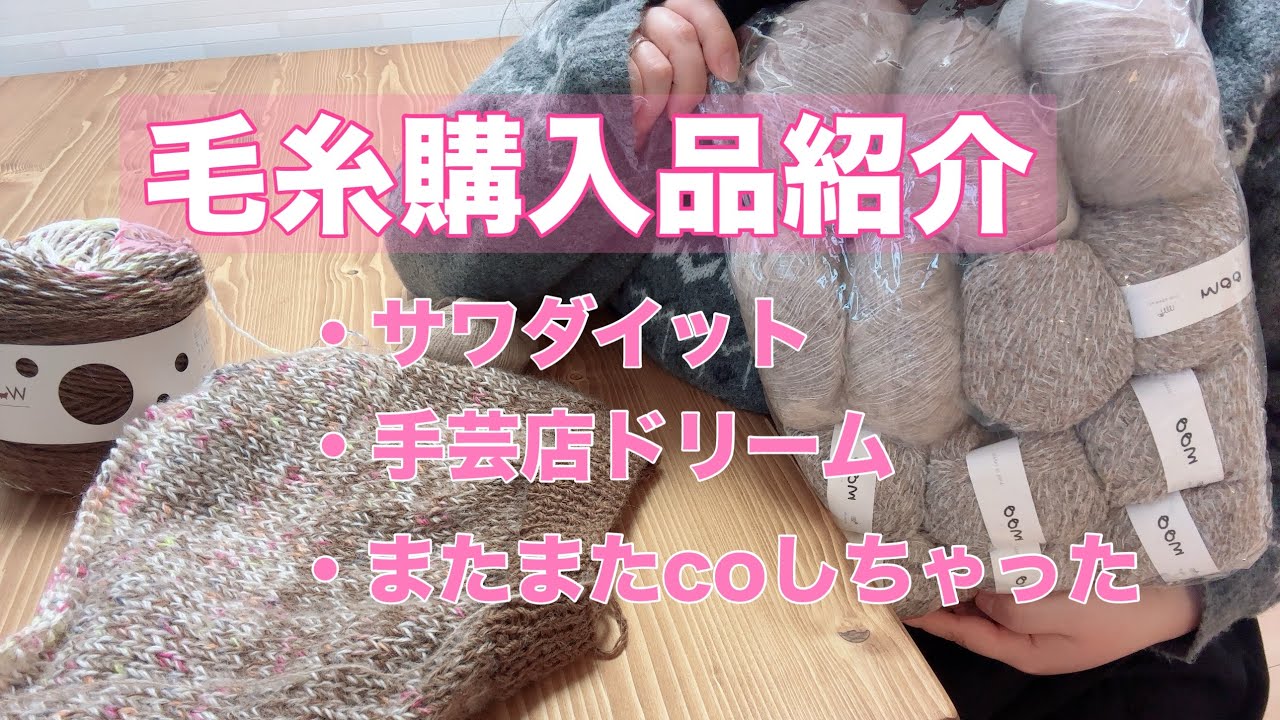 編み物/毛糸購入品紹介/サワダイット/ドリーム/新たにcoした編み地が可愛すぎる