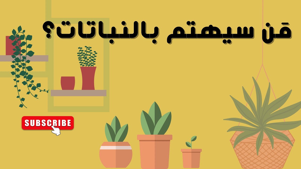 النباتات من حولنا ، وحدة النبات ، قناة أمان .