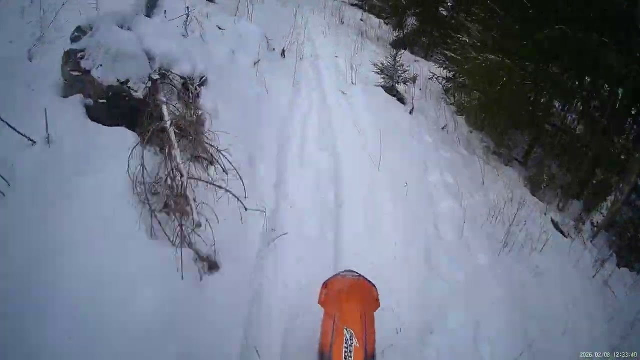 söndags tur i skogen  :)
