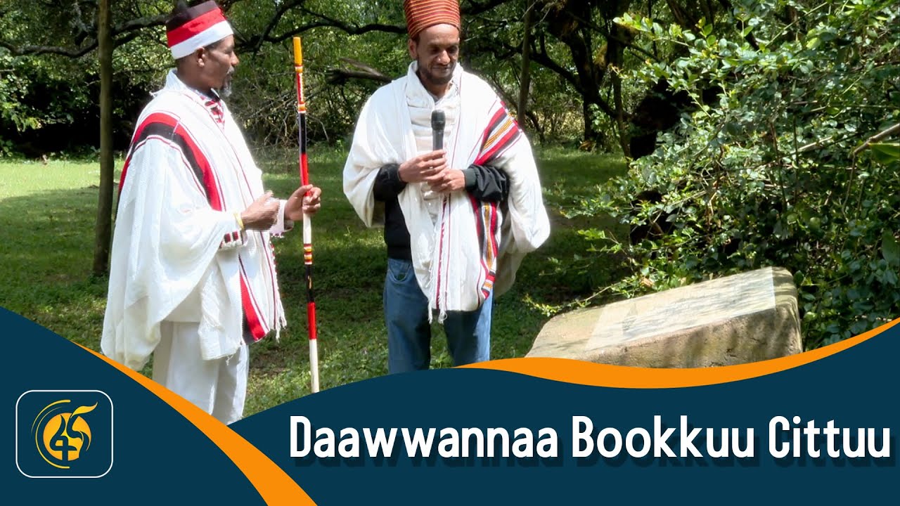 Daawwannaa Bookkuu Cittuu