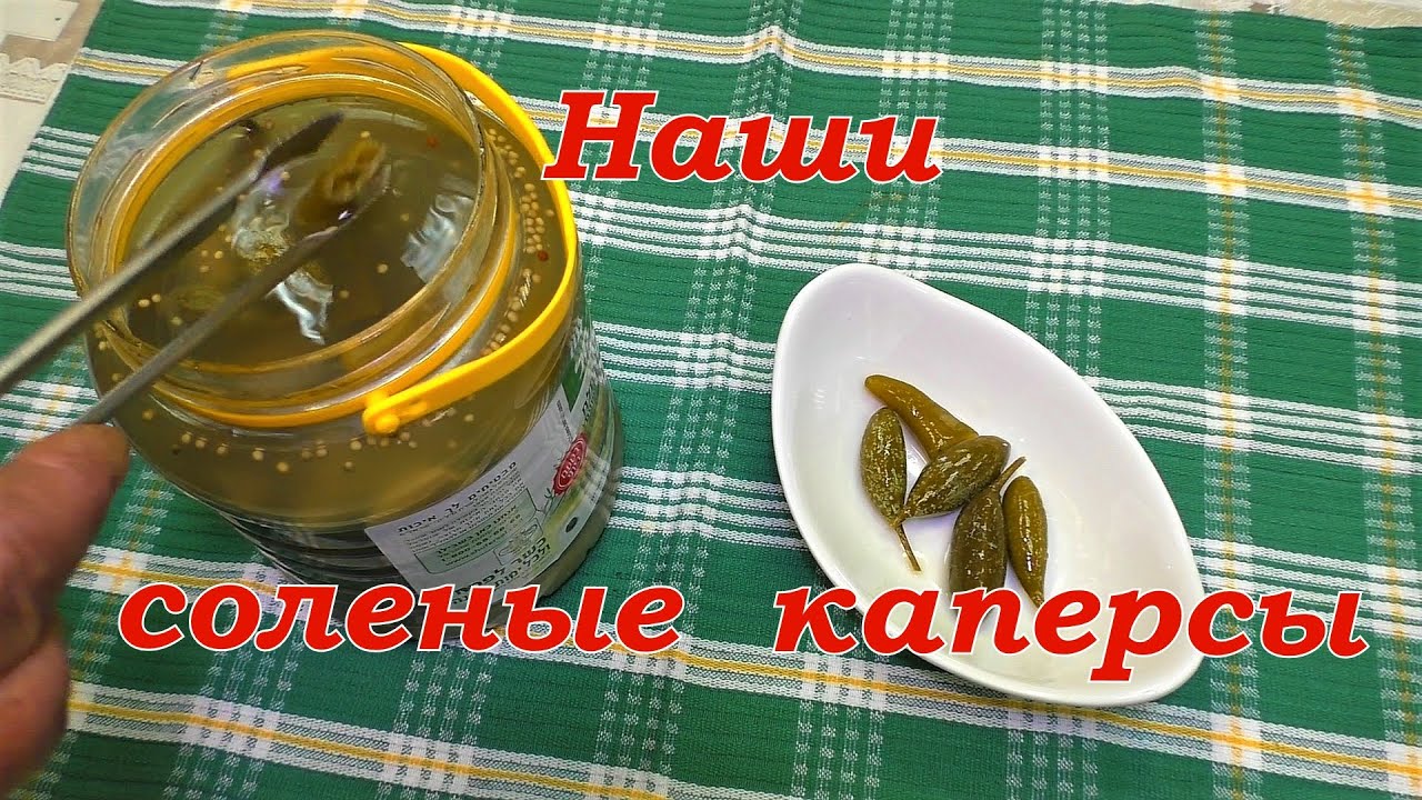 Наши соленые каперсы. Пробуем./ Capers