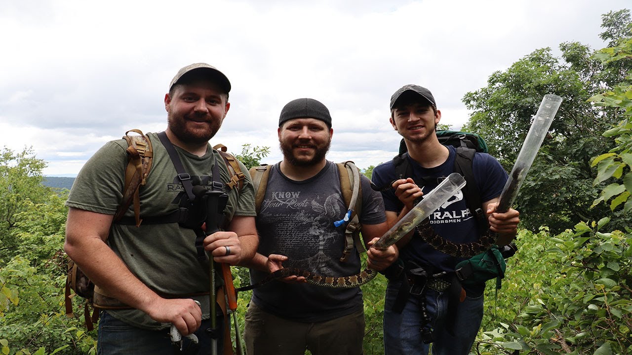 First Snake Harvest | PA Rattlesnake Hunting | 47 Inch Snake