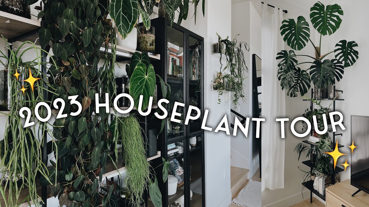 2023 houseplant tour PART 3 of 3 - my living room and bedroom plants!