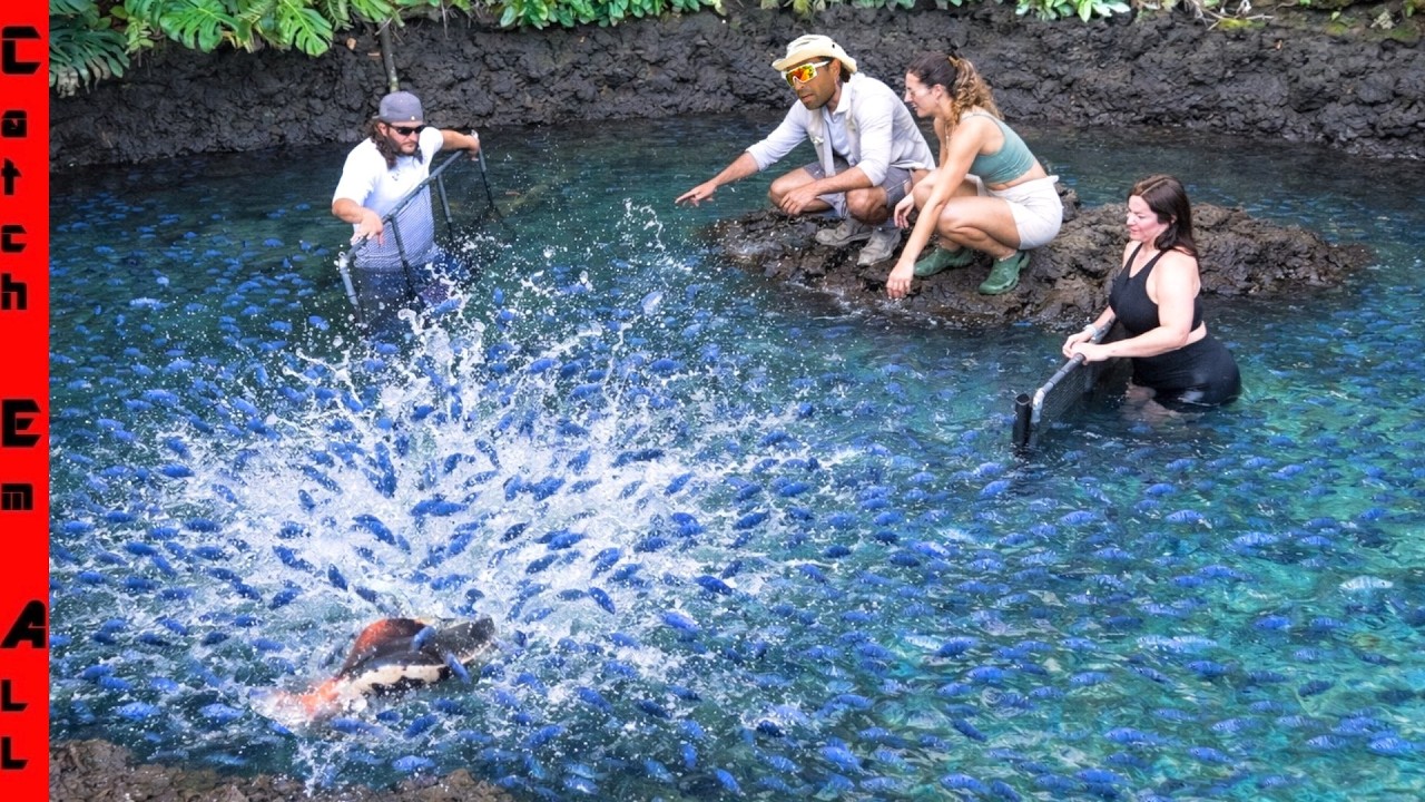 Draining the $1,000,000 Backyard MONSTER FISH Pond to Remove 1,000s of Invasive Fish!