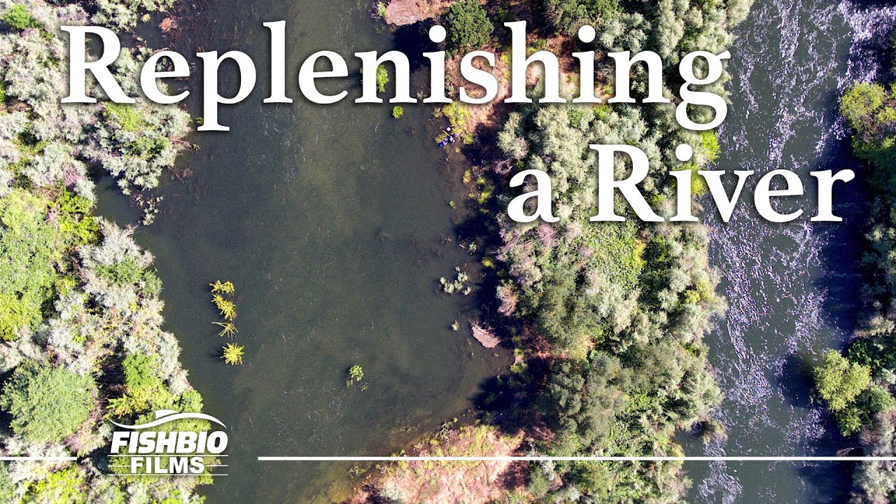 Replenishing a River: Stanislaus River Honolulu Bar Restoration
