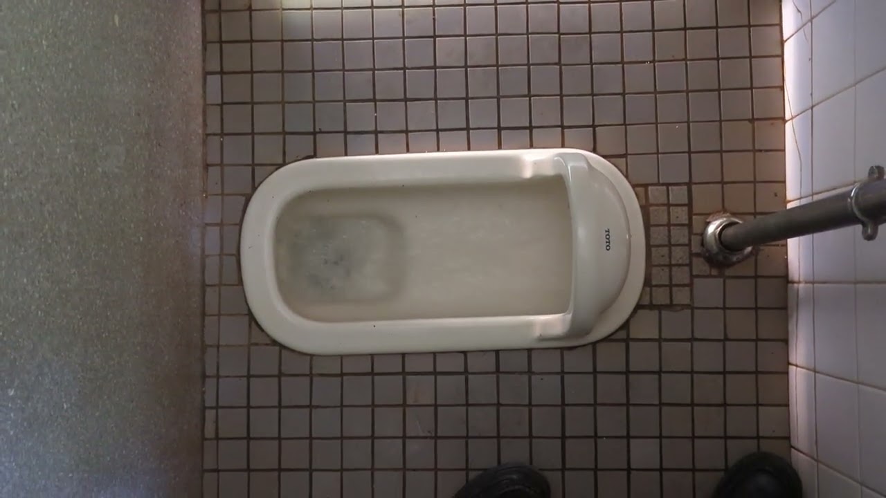 TOTO C125 squat　toilet
