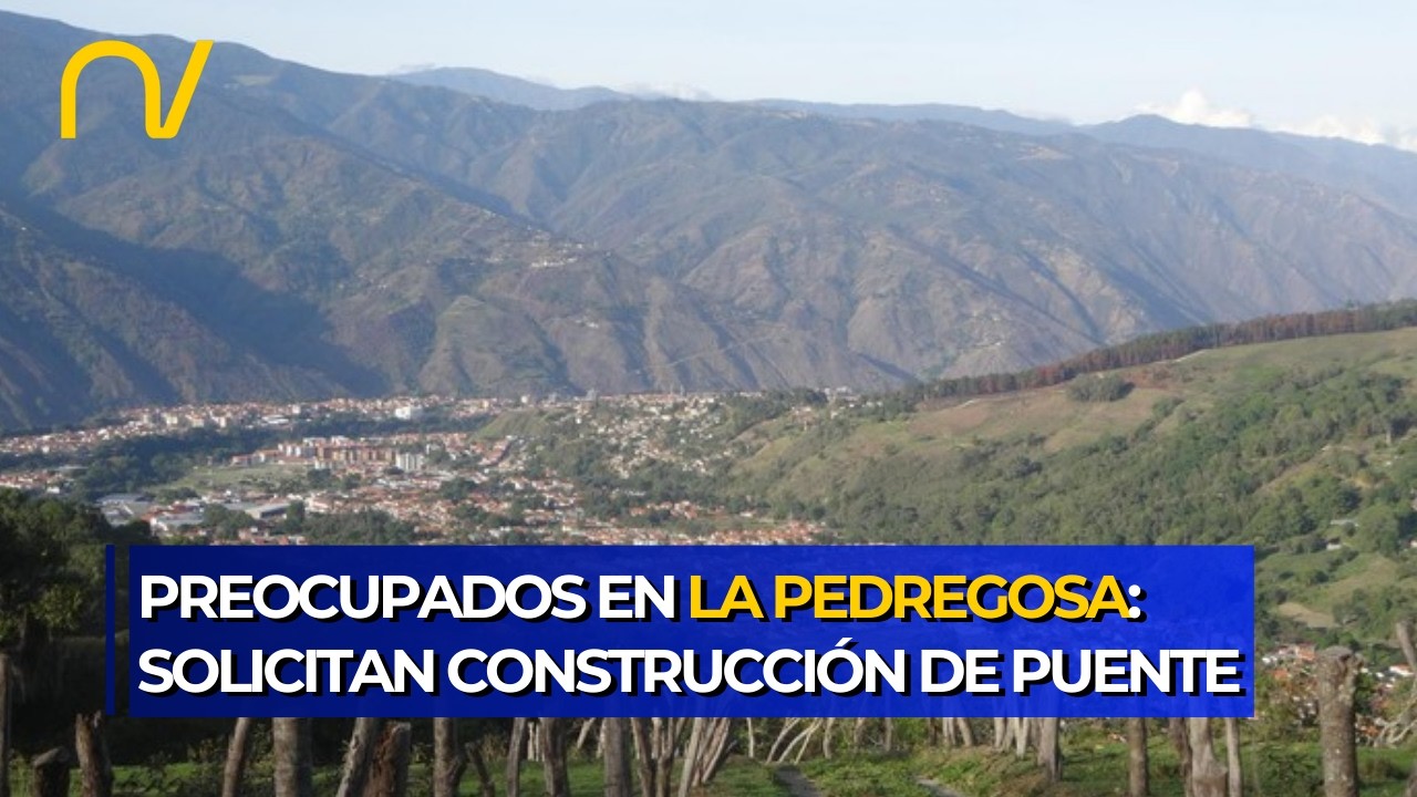 Alerta en La Pedregosa: Habitantes denuncian que puente artesanal pone en riesgo sus vidas