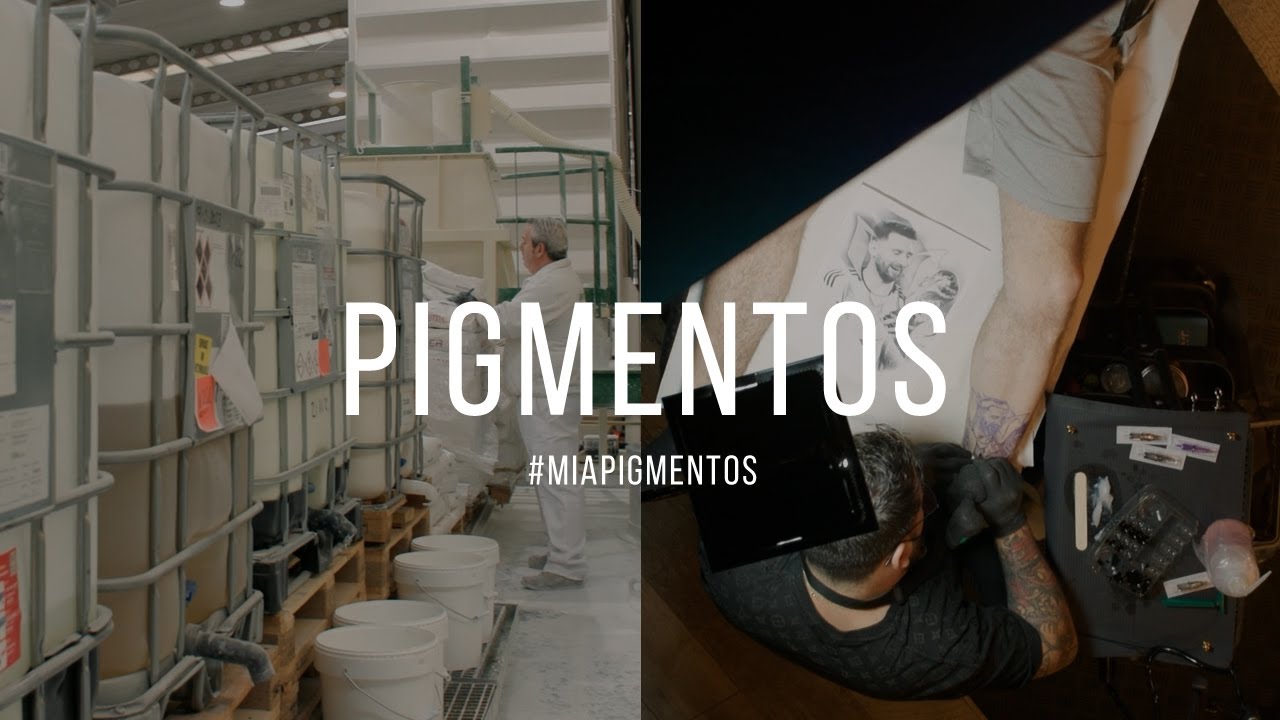 Made in Arag&oacute;n 61 - Pigmentos