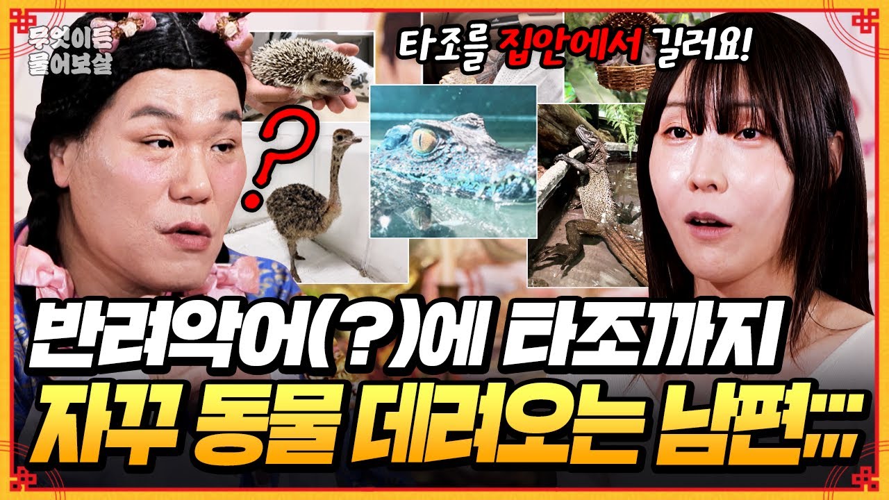 돌보는 도마뱀만 500마리인데...🦎 집에서 OO까지 키우는 남편🔥🔥  [무엇이든 물어보살] | KBS Joy 250407 방송