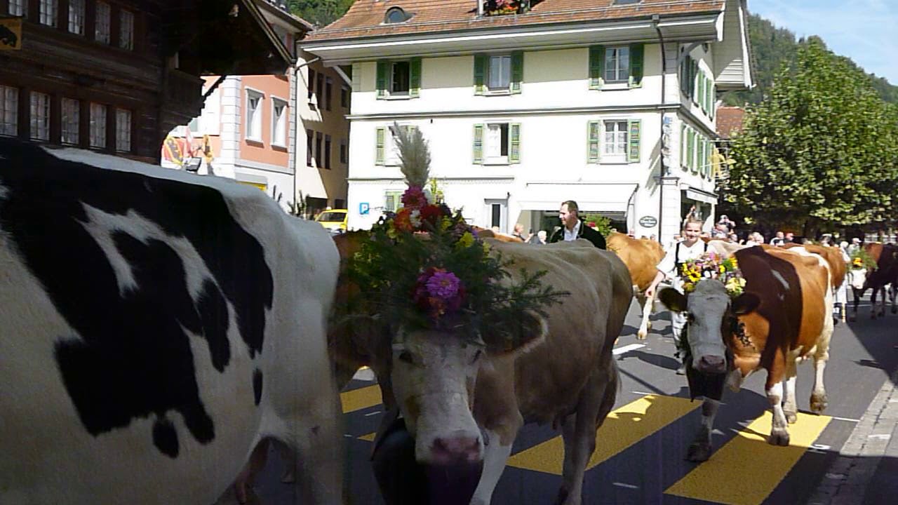 2018 Alpabzug Interlaken