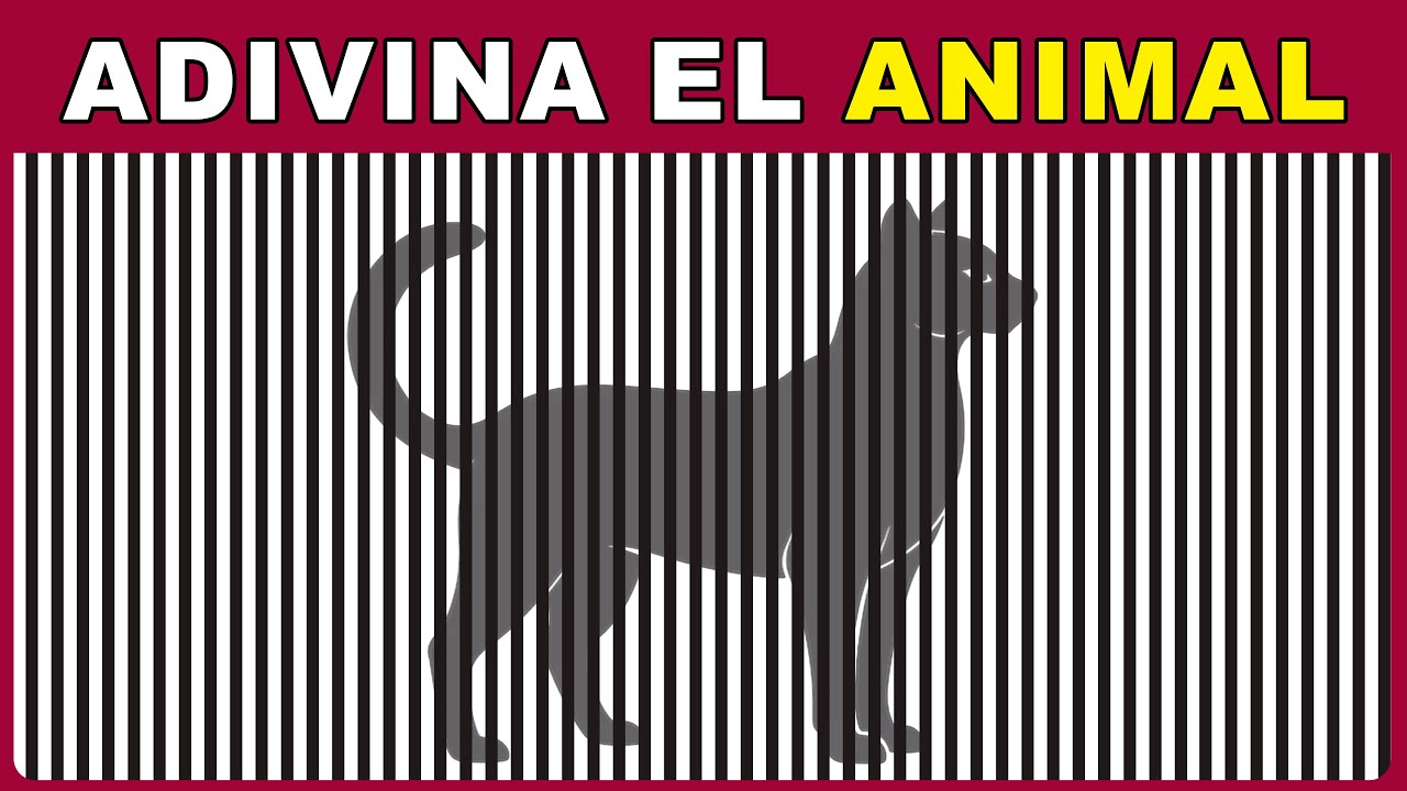 &iexcl;RETO VISUAL! 🔍⚡ Adivina los animales
