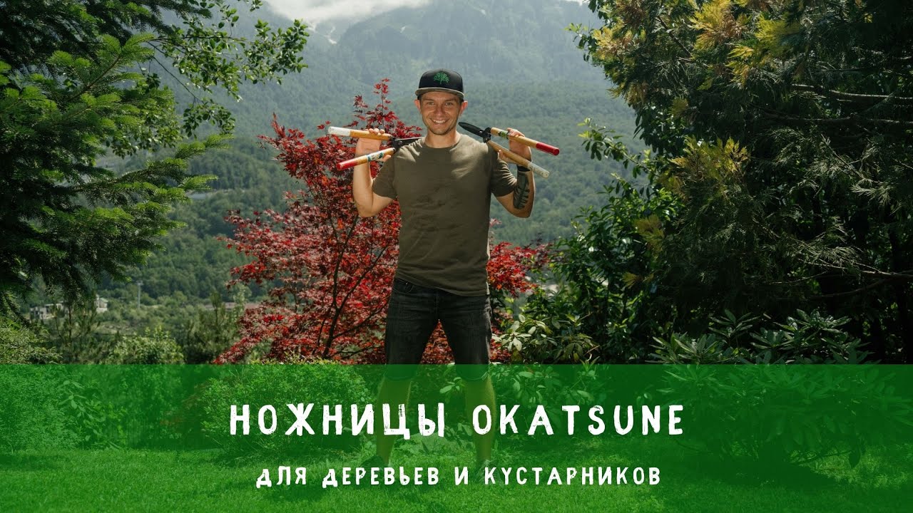 Ножницы для кустарников Okatsune
