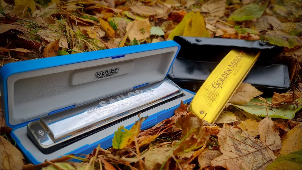 Comparison between the Seydel Sailor and the Hohner Golden Melody tremolo harmonicas