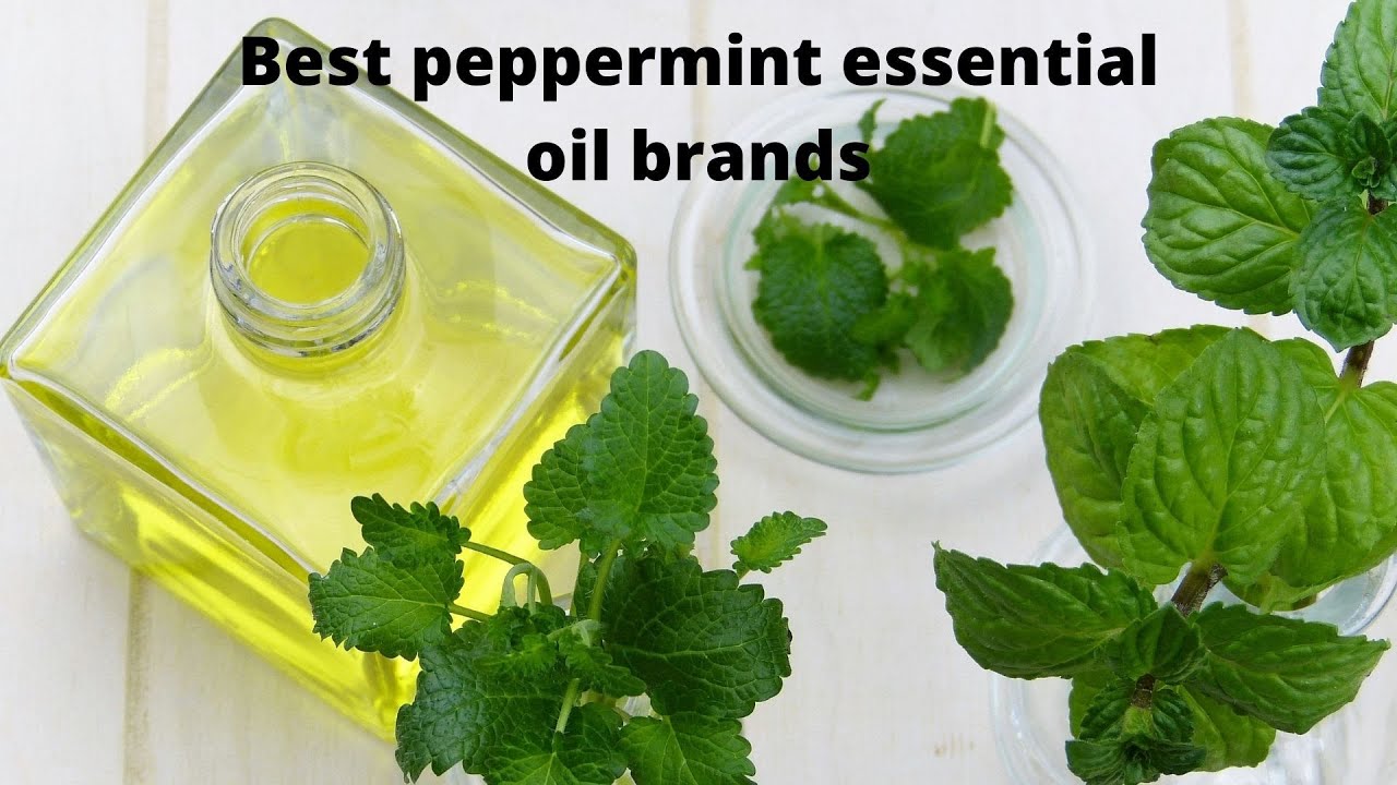Best peppermint essential oil brands