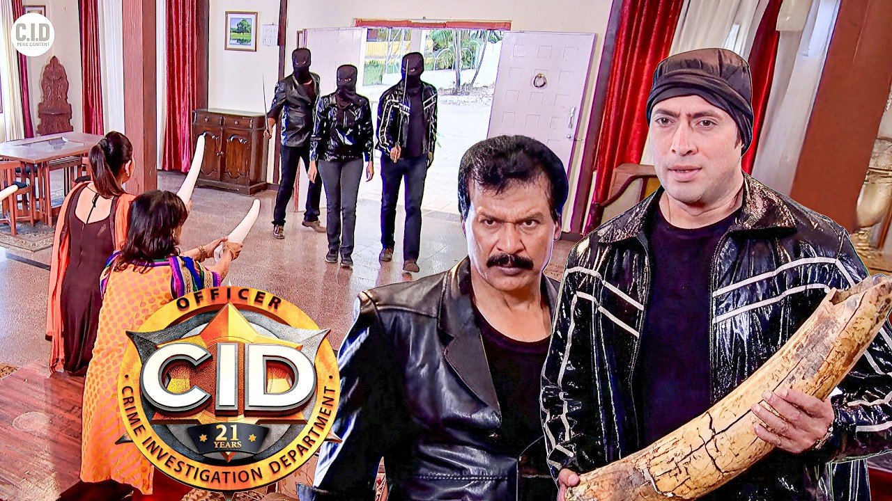 पाकिस्तानी दूतावास में CID टीम ने करी 200 साल पुराने हाथी के दांत की चोरी || CID || Episode 2026
