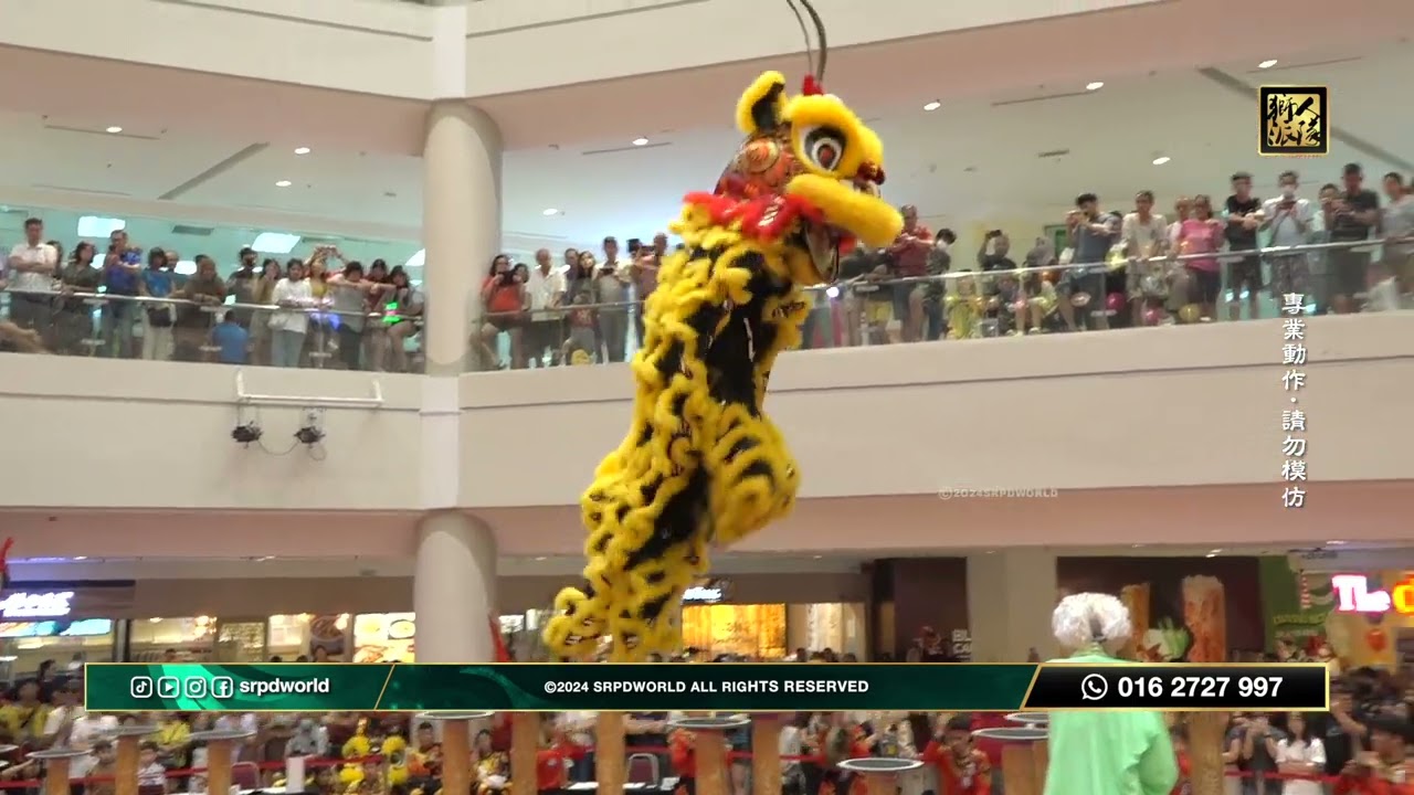 [Lion Dance] 加影育華龍獅團 @ipohparade