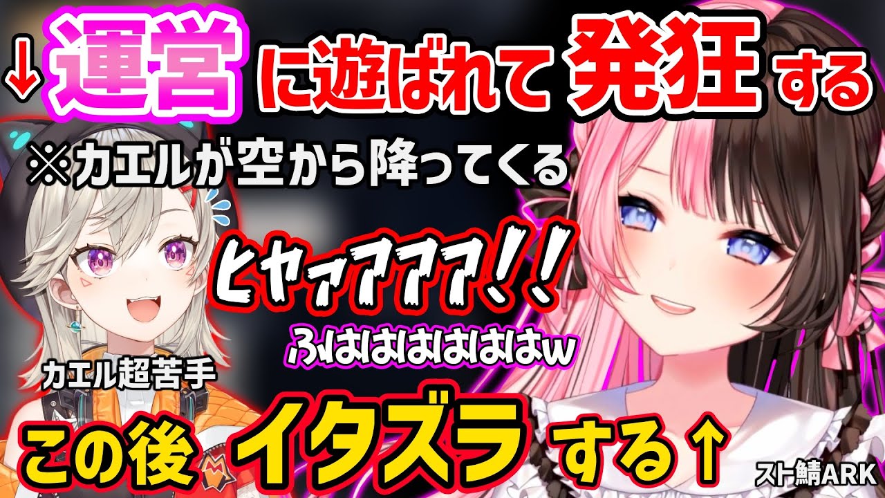 運営やひなーのからカエルで遊ばれて発狂する小森めとｗ【橘ひなの/釈迦/八雲べに/アキロゼ/ゼロスト/ぶいすぽ 切り抜き スト鯖ARK】