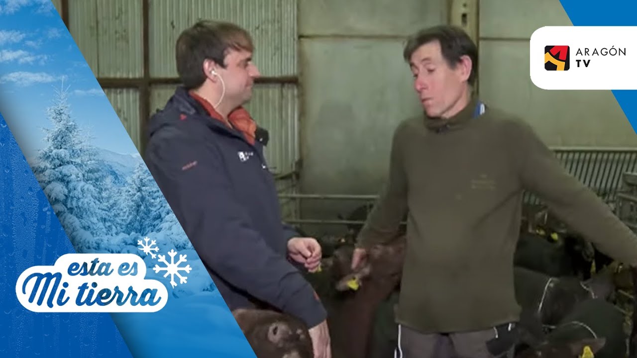 Cabras de raza murciano-granadina en Villaspesa