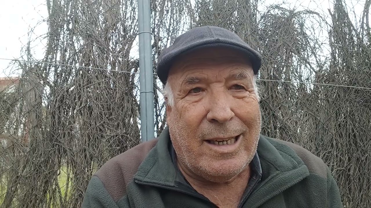 Kanbio perdigones por aceite