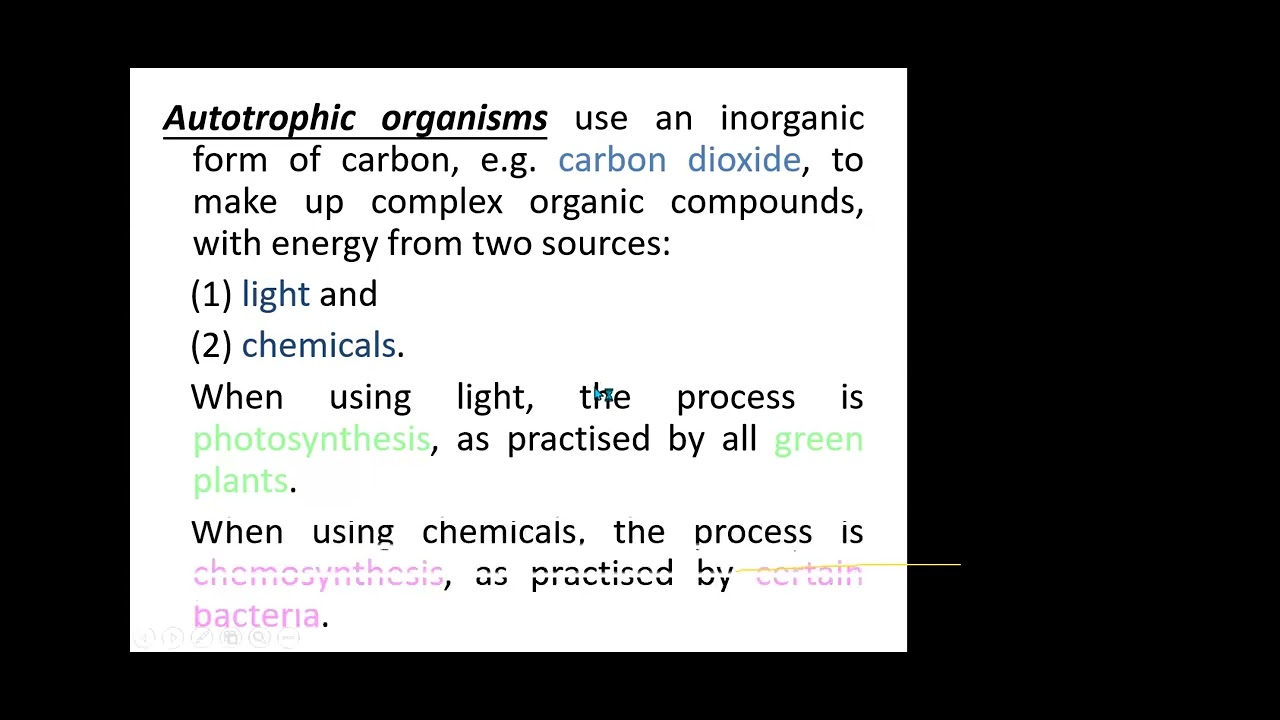 S.6 BIOLOGY LESSON  : Autotrophic nutrition   03RD JANUARY 2024