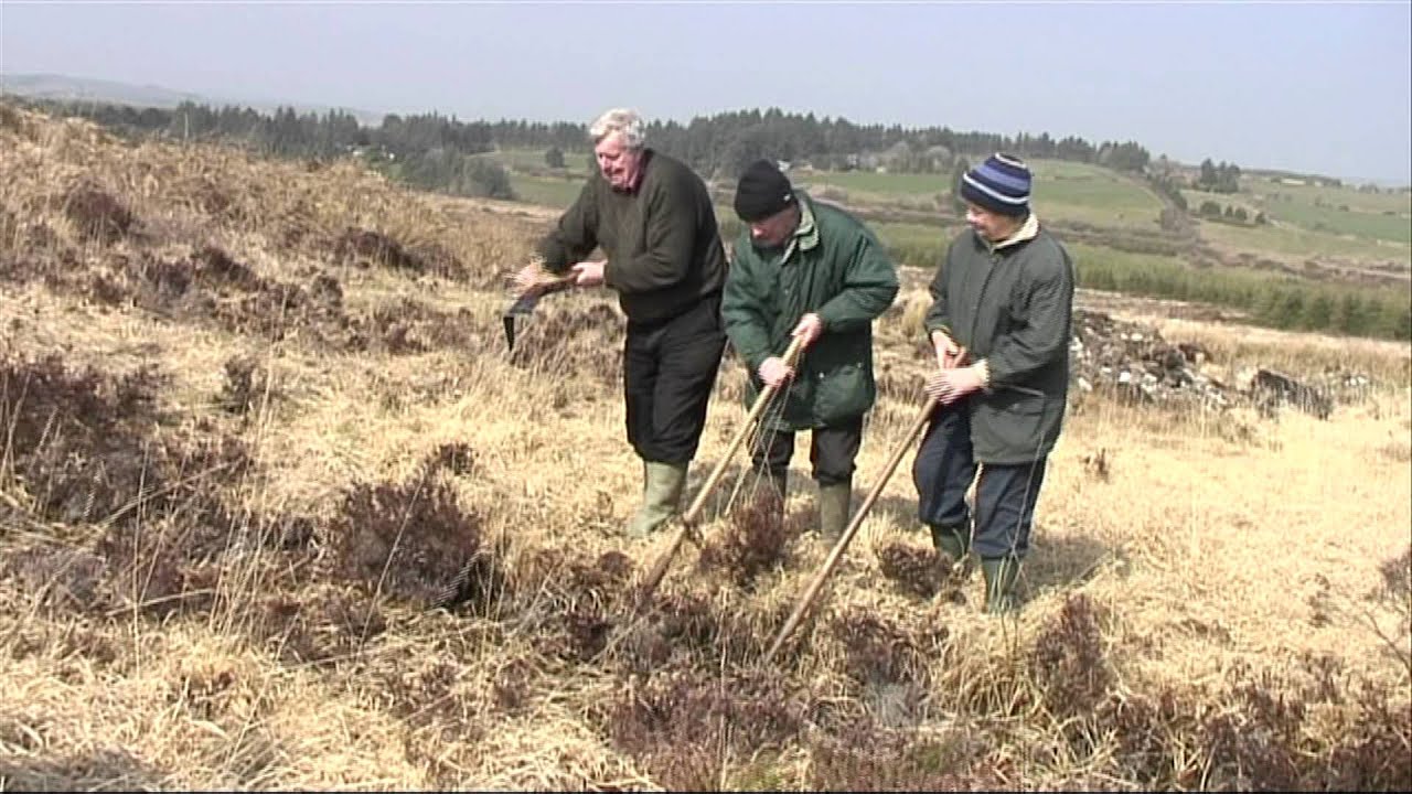 A Day in the Bog