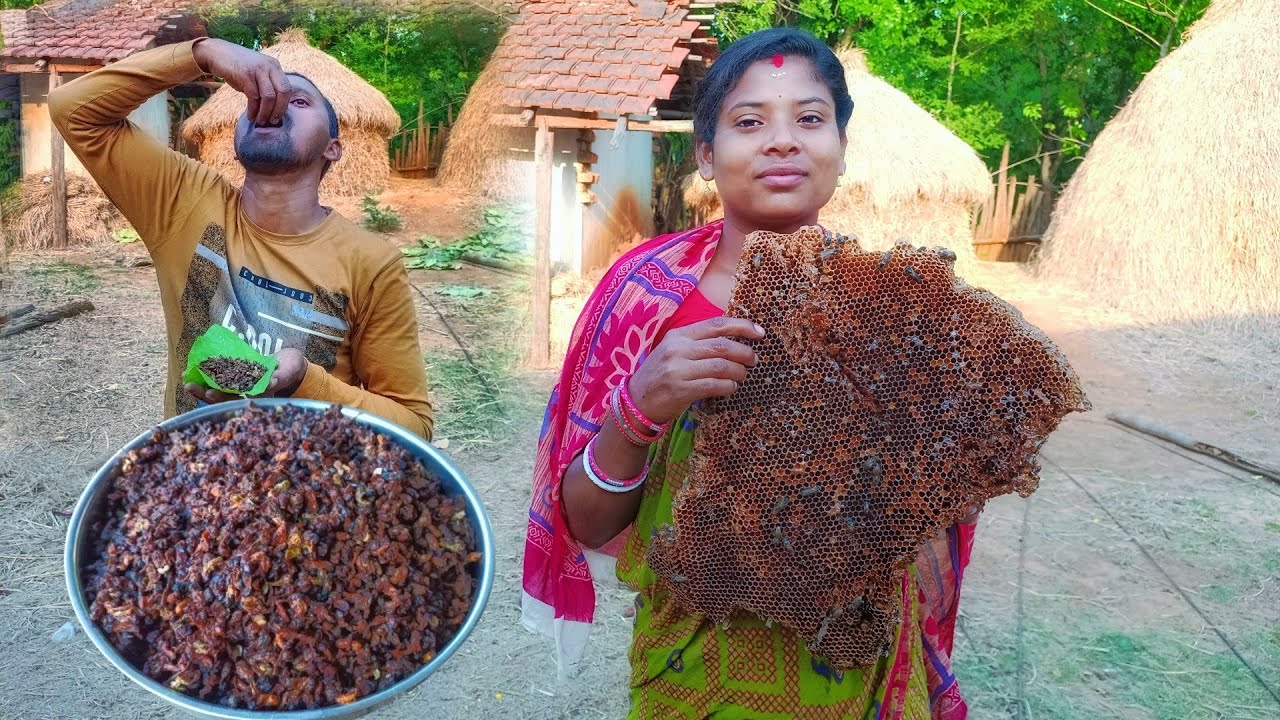 Harvesting Honey In Jungle  || Harvesting Honey By Tribes @villagetriballife