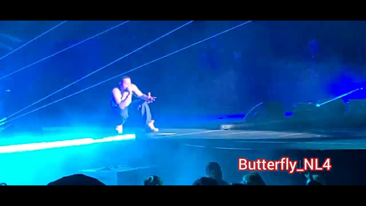 Bow wow - 