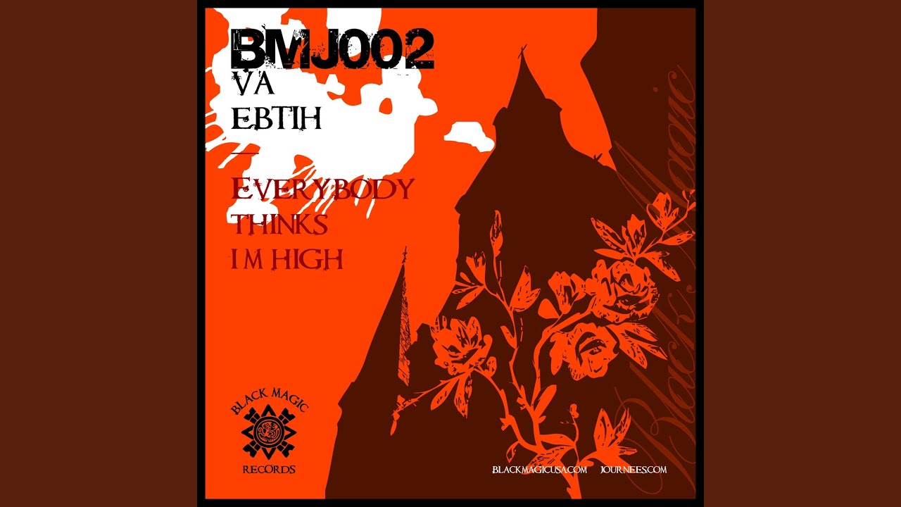 Everybody Thinks I'm High (Dj Sandy electro mix)