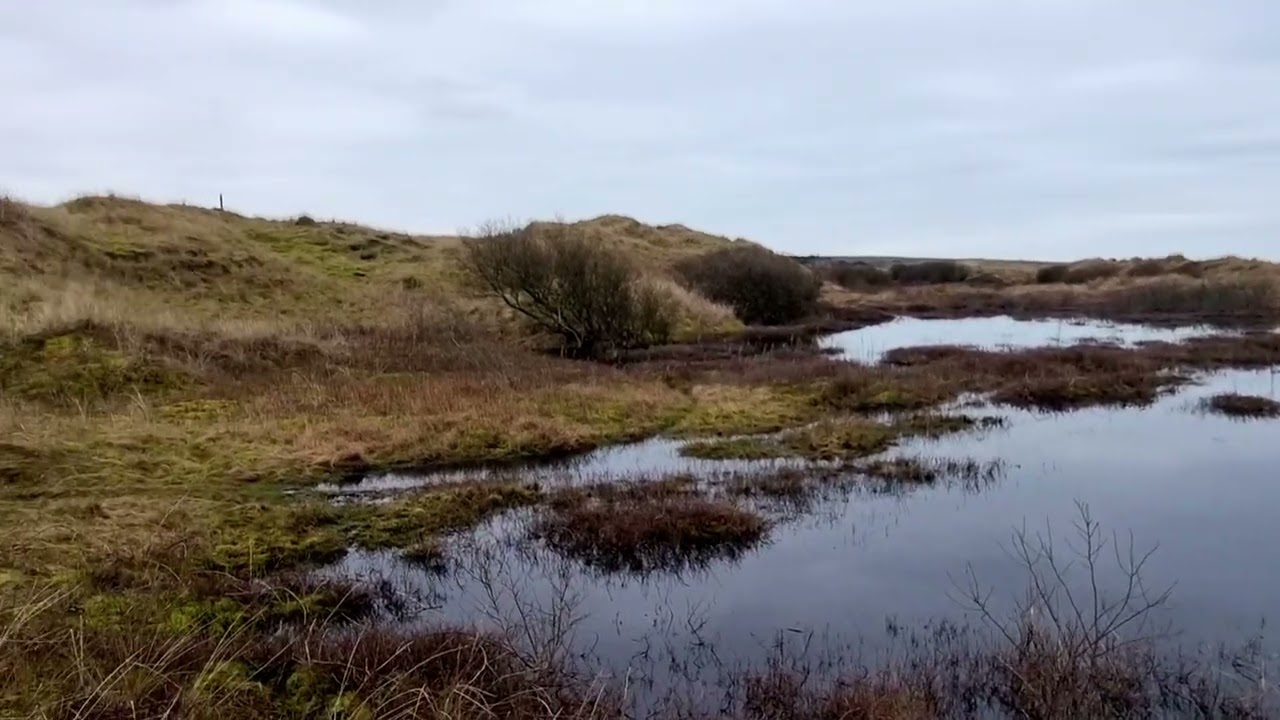 #thesoundofsilence #aberffraw #dogwalk #water #nowind #norain 
