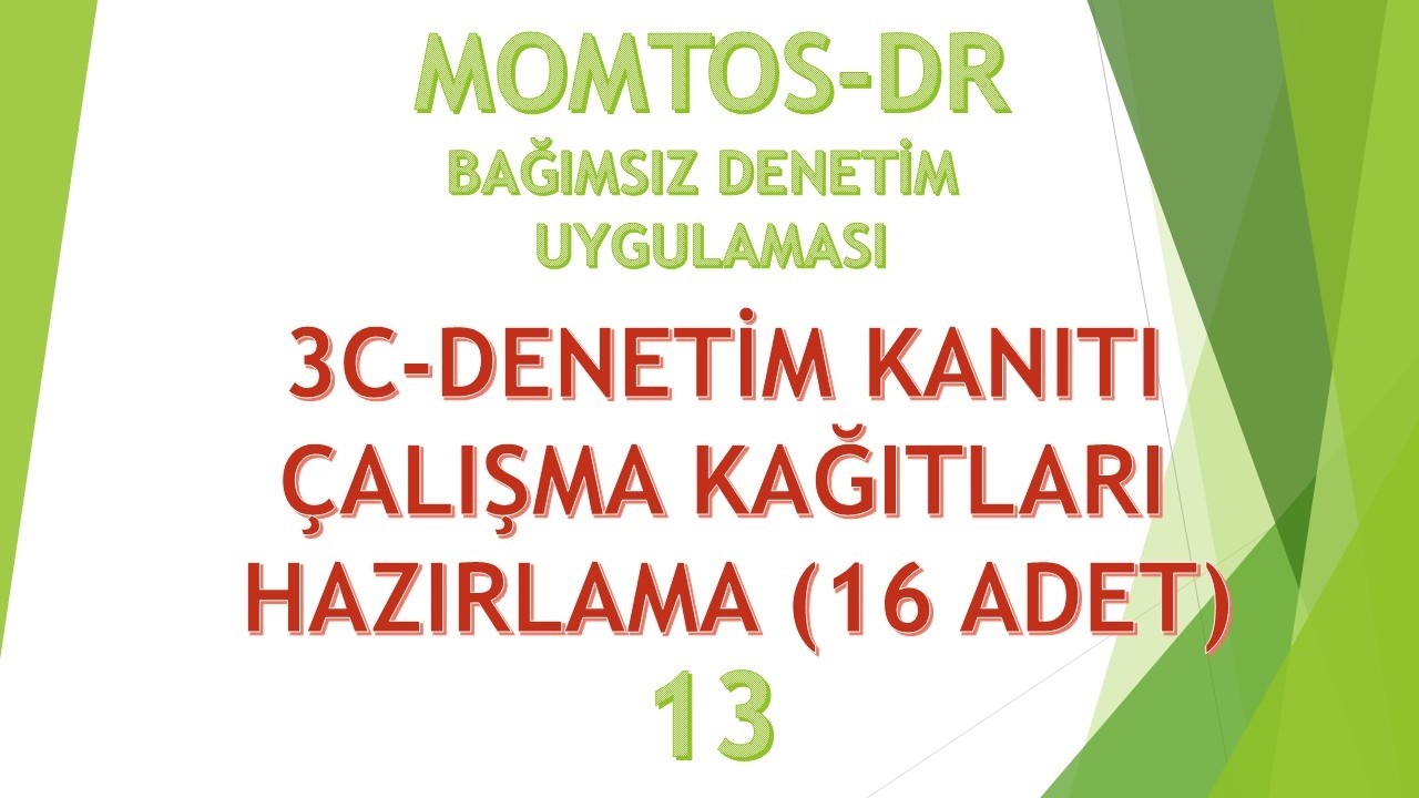 B13 3C DENETİM KANITI ÇALIŞMA KAĞITLARI HAZIRLAMA 16 ADET