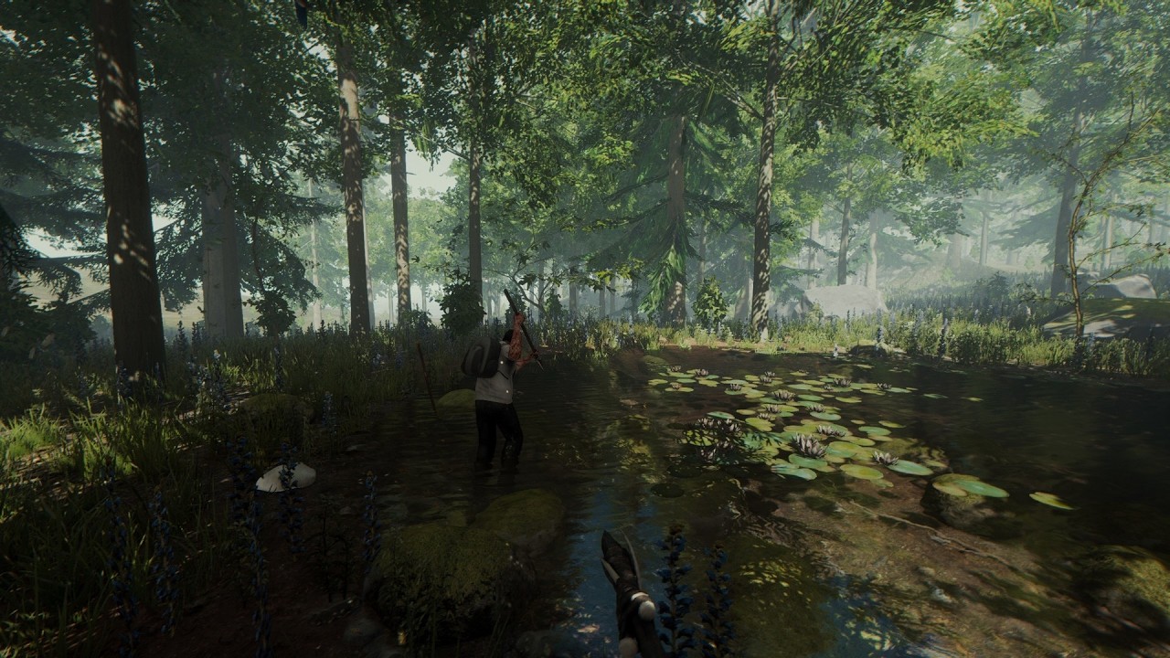 THE FOREST - En Español
