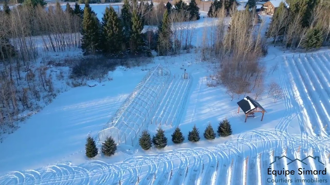 Vignoble en vente - Bont&eacute; Divigne - 2090 ch des deux-rivi&egrave;res, Roberval