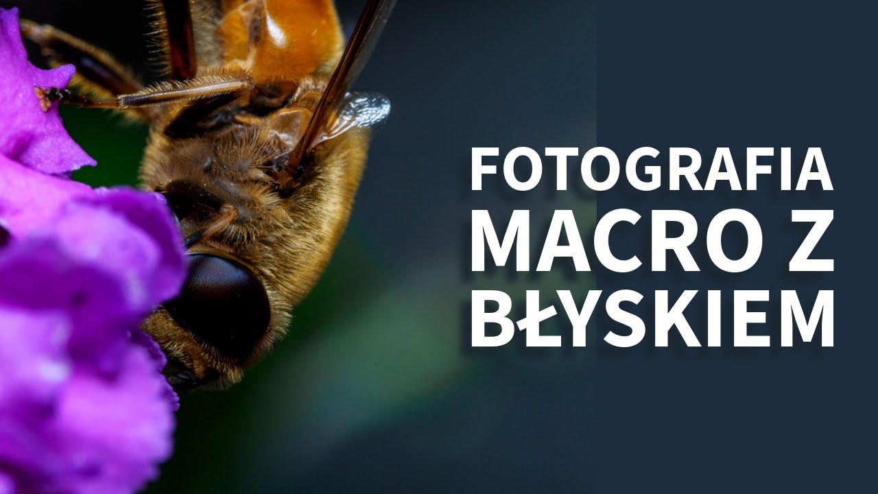 Fotografia macro w pełnym słońcu z lampą błyskową - moje pierwsze kroki